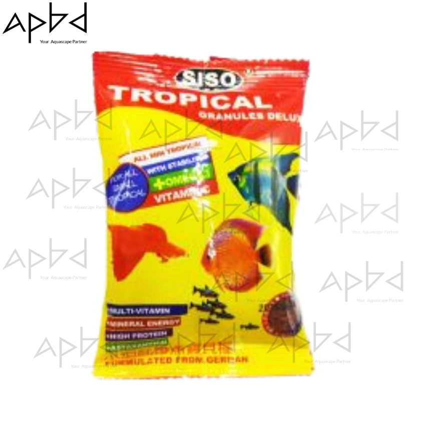 Daily Tropical Fish Feed
