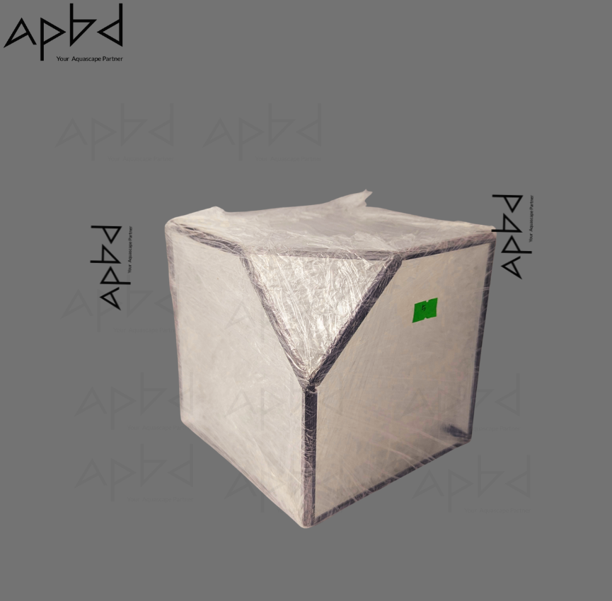 Geometric Imported Glass Terrarium Jar Only (Model 4) | Modern Glass Vessel | Price: 2800 TK