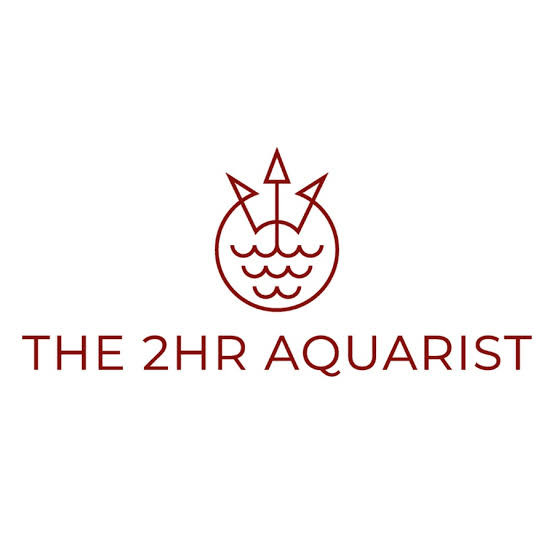 THE TWO HOURS AQUARIST