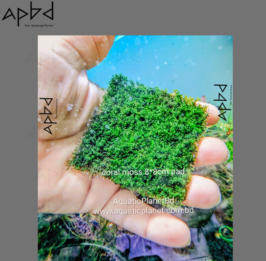 CORAL MOSS